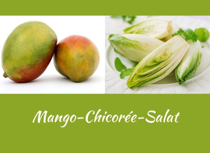 Mango-Chicorée-Salat