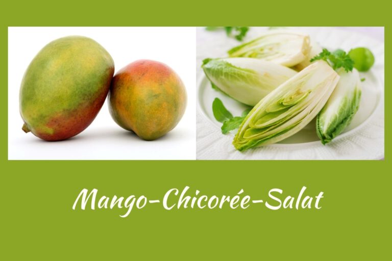 Mango-Chicorée-Salat