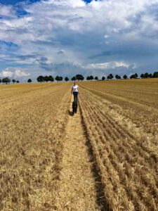 Veränderungen Stoppfelfeld Spaziergang mit Riesenschnauzer